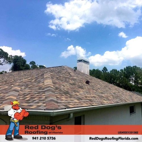 Red Dog's Roofing LLC Roofing Contractors
